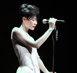 王菲經紀人微博辟謠 演唱會尚未正式公布售票，警惕虛假信息